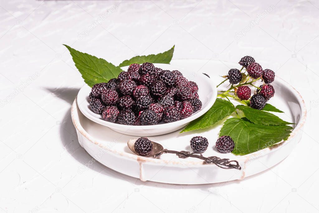 Black raspberry in a white bowl. Ripe organic fruits on the white putty background. A trendy hard light, dark shadow, copy space