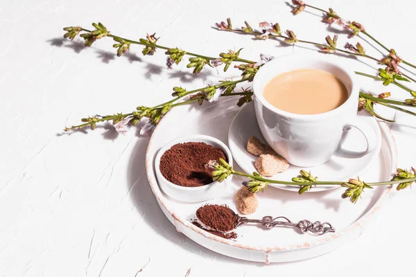新鮮な花や粉末とチコリコーヒー 白いカップに天然のカフェインフリードリンク コーヒー カフェインの代替品 白い石膏の背景 コピースペース — ストック写真