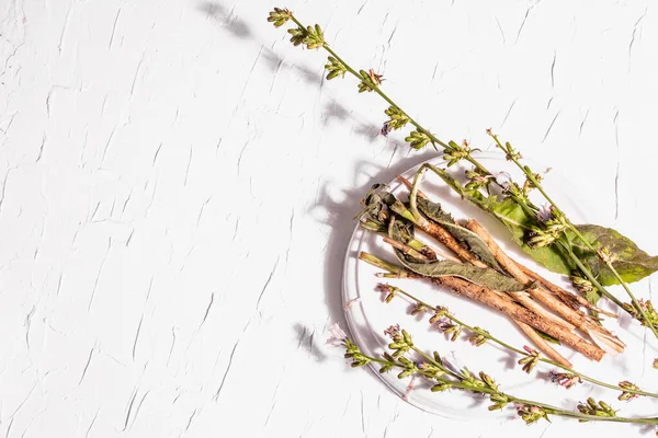 Čerstvé Květiny Kořeny Čekanky Keramickém Stojanu Přírodní Ingredience Pro Nápoje — Stock fotografie