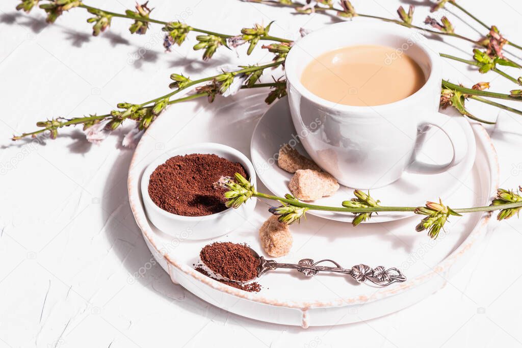 Chicory coffee with fresh flowers and powder. Natural caffeine-free drink in a white cup. Alternative replacement for coffee, caffeine. White plaster background, copy space