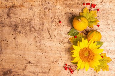 Sonbahar kompozisyonu. Ayçiçeği, kırmızı böğürtlen ve balkabağı. Neşeli ruh hali arka plan, düz yatış, üst manzara