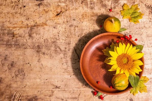 Composition Automne Table Tournesol Baies Rouges Citrouilles Festive Fond Bonne — Photo