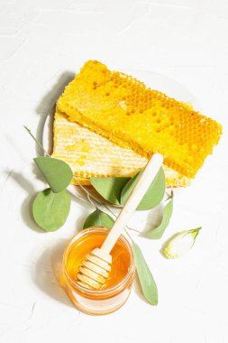 Bal peteği, bal ve balmumu. Sağlıklı ve güzel bir yaşam tarzı için doğal organik arıcılık ürünleri. Sert ışık, koyu gölge, beyaz alçı arka plan, üst görünüm