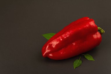 Siyah taş arka planda izole edilmiş dev kırmızı dolma biber. Tatlı sebze, yeni hasat, sağlıklı yiyecekler için taze malzeme. Koyu renk duvar kağıdı, boşluğu kopyala