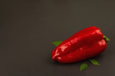 Siyah taş arka planda izole edilmiş dev kırmızı dolma biber. Tatlı sebze, yeni hasat, sağlıklı yiyecekler için taze malzeme. Koyu renk duvar kağıdı, boşluğu kopyala