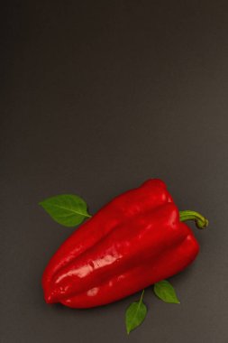 Siyah taş arka planda izole edilmiş dev kırmızı dolma biber. Tatlı sebze, yeni hasat, sağlıklı yiyecekler için taze malzeme. Koyu renk duvar kâğıdı, üst manzara.