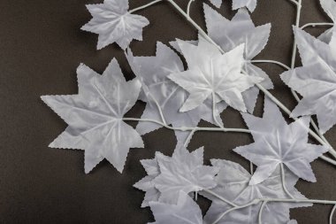 Cadılar Bayramı konsepti Hayalet gibi beyaz akçaağaç dalda yapraklar bırakır. Siyah taş arkaplan üzerine geleneksel bayram dekoru, kapat