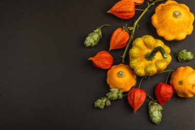 Çeşitli olgun balkabakları, kozalaklar ve portakal fisalileri hasat edin. Renkli bir arka plan, Şükran Günü ya da Cadılar Bayramı. Siyah taş arkaplan, üst görünüm