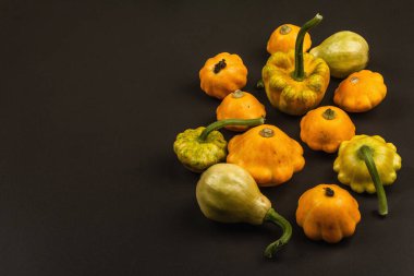 Çeşitli olgun balkabaklarından hasat et. Renkli bir arka plan, Şükran Günü ya da Cadılar Bayramı. Siyah taş arkaplan, boşluğu kopyala