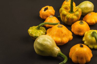 Çeşitli olgun balkabaklarından hasat et. Renkli bir arka plan, Şükran Günü ya da Cadılar Bayramı. Siyah taş arkaplan, boşluğu kopyala