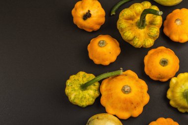 Çeşitli olgun balkabaklarından hasat et. Renkli bir arka plan, Şükran Günü ya da Cadılar Bayramı. Siyah taş arkaplan, üst görünüm