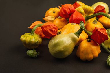 Çeşitli olgun balkabakları, kozalaklar ve portakal fisalileri hasat edin. Renkli bir arka plan, Şükran Günü ya da Cadılar Bayramı. Siyah taş beton arka plan, kapat