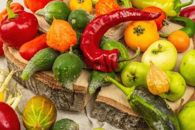 Modaya uygun çirkin sebzeler ve meyveler. Taze biber, fasulye, salatalık, domates, balkabağı, elma çeşitleri. Organik çirkin yemekler pişirmek. Taş beton arkaplan, metin için yer