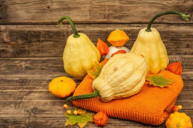 Sonbahar tarzı kompozisyon. Olgun balkabakları, sıcak örülmüş süveter, sonbahar yaprakları ve böğürtlen. Şükran Günü ya da Cadılar Bayramı keyfi. Eski tahta arkaplan