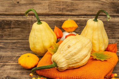 Sonbahar tarzı kompozisyon. Olgun balkabakları, sıcak örülmüş süveter, sonbahar yaprakları ve böğürtlen. Şükran Günü ya da Cadılar Bayramı keyfi. Eski tahta arkaplan