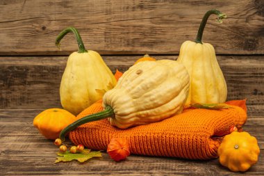 Sonbahar tarzı kompozisyon. Olgun balkabakları, sıcak örülmüş süveter, sonbahar yaprakları ve böğürtlen. Şükran Günü ya da Cadılar Bayramı keyfi. Eski tahta arkaplan