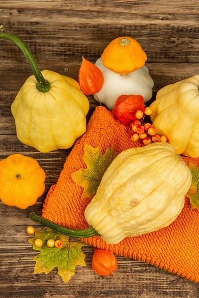 Sonbahar tarzı kompozisyon. Olgun balkabakları, sıcak örülmüş süveter, sonbahar yaprakları ve böğürtlen. Şükran Günü ya da Cadılar Bayramı keyfi. Eski ahşap zemin, üst manzara