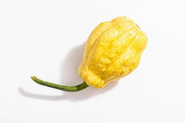 Beyaz arka planda izole edilmiş olgun turuncu balkabağı. Cadılar Bayramı ya da Şükran Günü için geleneksel dekoratif öğe.