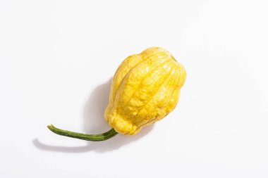 Beyaz arka planda izole edilmiş olgun turuncu balkabağı. Cadılar Bayramı ya da Şükran Günü için geleneksel dekoratif öğe.