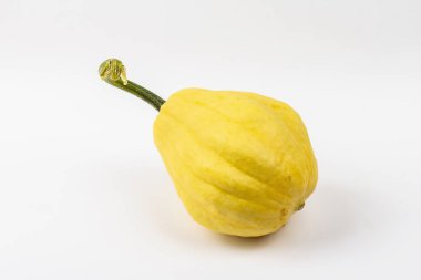 Beyaz arka planda izole edilmiş olgun turuncu balkabağı. Cadılar Bayramı ya da Şükran Günü için geleneksel dekoratif öğe.