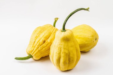 Olgun turuncu balkabakları beyaz arka planda izole edilmiş. Cadılar Bayramı ya da Şükran Günü için geleneksel dekoratif öğe.