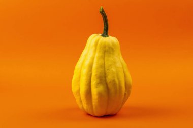 Parlak turuncu arka planda izole edilmiş olgun sarı balkabağı. Cadılar Bayramı ya da Şükran Günü için geleneksel dekoratif öğe.