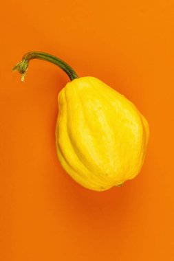 Parlak turuncu arka planda izole edilmiş olgun sarı balkabağı. Cadılar Bayramı ya da Şükran Günü için geleneksel dekoratif öğe.