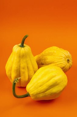 Parlak turuncu arka planda izole edilmiş olgun sarı balkabakları. Cadılar Bayramı ya da Şükran Günü için geleneksel dekoratif öğe.
