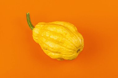 Parlak turuncu arka planda izole edilmiş olgun sarı balkabağı. Cadılar Bayramı ya da Şükran Günü için geleneksel dekoratif öğe.