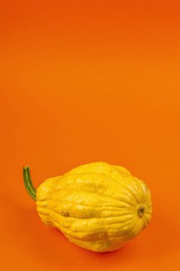 Parlak turuncu arka planda izole edilmiş olgun sarı balkabağı. Cadılar Bayramı ya da Şükran Günü için geleneksel dekoratif öğe.