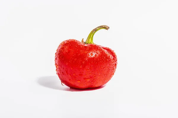 Dojrzały Czerwony Okrągły Pieprz Izolowany Białym Tle Pojedyncze Świeże Warzywa — Zdjęcie stockowe