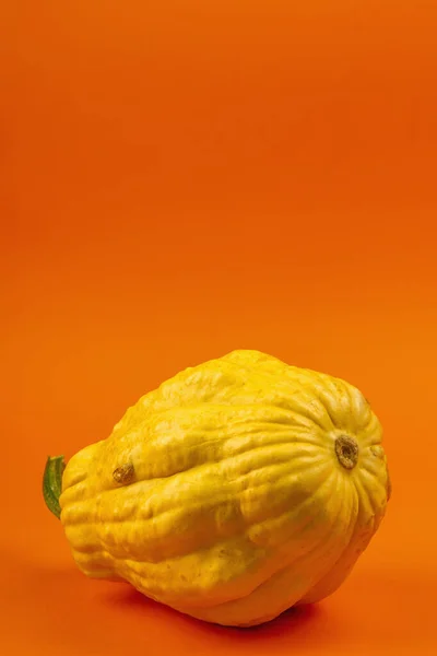 Ώριμη Κίτρινη Κολοκύθα Που Απομονώνεται Έντονο Πορτοκαλί Φόντο Ολόκληρο Σκουός — Φωτογραφία Αρχείου