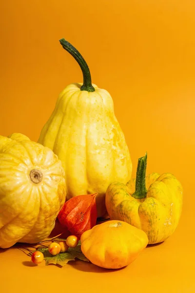 具有成熟南瓜 浆果和植物花的富有创意的秋季作曲 明亮的橙色背景 节日贺卡 — 图库照片