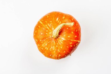 Beyaz arka planda izole edilmiş olgun bir balkabağı. Cucurbita maxima squash, Cadılar Bayramı veya Şükran Günü için geleneksel dekoratif unsur.