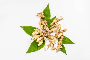 Çiğ Kudüs enginarı beyaz arka planda izole edilmiş. Taze kazılmış yumru pişmeye hazır, düz uzanmaya, model, şablon