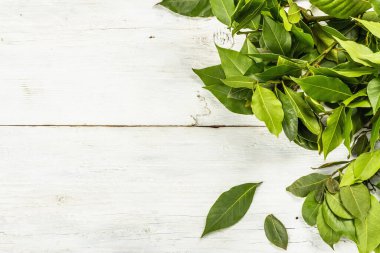 Beyaz ahşap arka planda taze defne yaprakları. Değişik yemekler, güzel kokulu baharat ve kopyalama alanı hazırlamak için geleneksel malzeme.