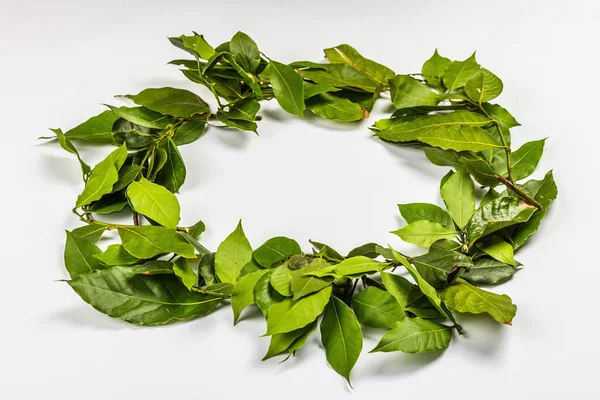 Corona Laurel Hojas Frescas Aisladas Sobre Fondo Blanco Símbolo Tradicional — Foto de Stock