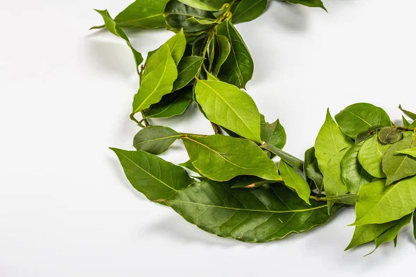 Corona Laurel Hojas Frescas Aisladas Sobre Fondo Blanco Símbolo Tradicional — Foto de Stock