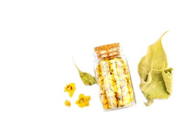 Verbascum thapsus, beyaz arka planda izole edilmiş kurumuş çiçekler. Alternatif doğal tıp ve eczacı konsepti için bitkisel bitki, üst görünüm