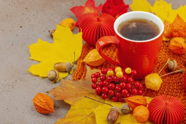 Sonbahar, bir fincan kırmızı çay, viburum üzümleri, meşe palamudu, sarı akçaağaç yaprakları ve el yapımı konforu sembolize eden sıcak ve rahat bir dekorasyonla sakin bir hayattır.