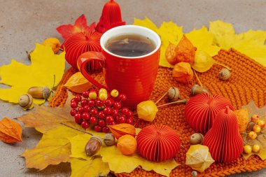 Sonbahar, bir fincan kırmızı çay, viburum üzümleri, meşe palamudu, sarı akçaağaç yaprakları ve el yapımı konforu sembolize eden sıcak ve rahat bir dekorasyonla sakin bir hayattır.