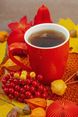 Sonbahar, bir fincan kırmızı çay, viburum üzümleri, meşe palamudu, sarı akçaağaç yaprakları ve el yapımı konforu sembolize eden sıcak ve rahat bir dekorasyonla sakin bir hayattır.