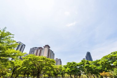 Arka planda mavi gökyüzü olan yeşil ağaçlar