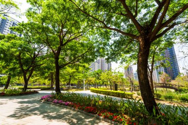 Arkaplan olarak mavi gökyüzü olan yemyeşil ağaçlar