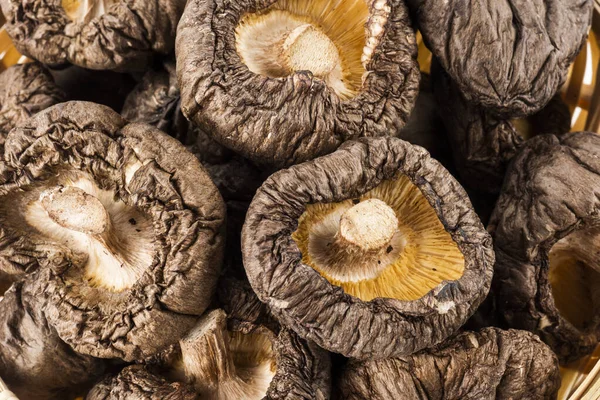 Dry Shiitake Mushrooms Isolated White Background — Stock Photo, Image