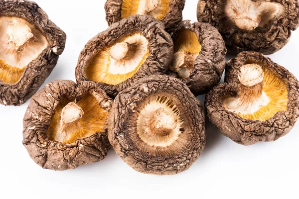 Dry Shiitake Mushrooms Isolated White Background — Stock Photo, Image