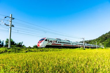 Tze-Chiang Limited Express (Puyuma) treni Taitung, Tayvan 'ın güzel kırsalından geçer.