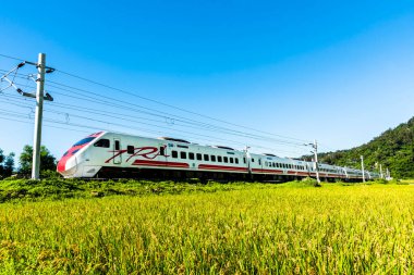 Tze-Chiang Limited Express (Puyuma) treni Taitung, Tayvan 'ın güzel kırsalından geçer.