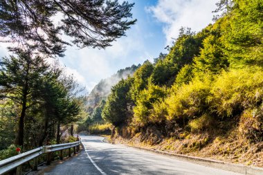 Tayvan 'ın Yunlin ilçesindeki tarlada toplanmış, kökleri ve kökleri olan bir sürü olgun sarımsak tohumu var..