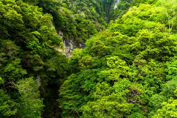 Γραφική Θέα Στο Φαράγγι Taroko Εθνικό Πάρκο Taroko Hualien Ταϊβάν — Φωτογραφία Αρχείου